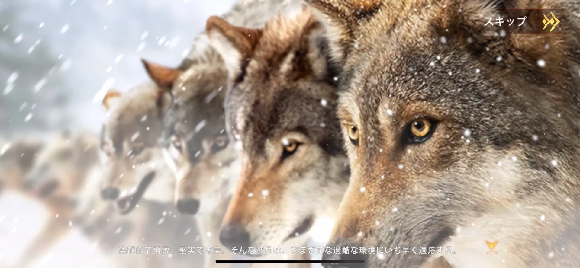 活躍する霊長類はサル。あくまで「狼」を主役にした斬新なゲーム